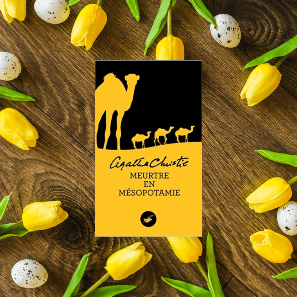 Meurtre en Mésopotamie d&rsquo;Agatha&nbsp;Christie